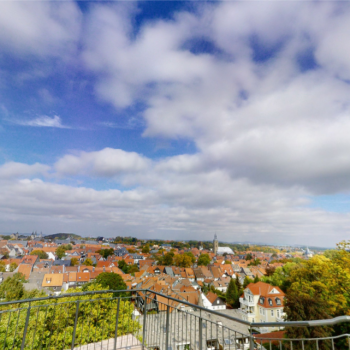 Goslarer Zwinger Panorama
